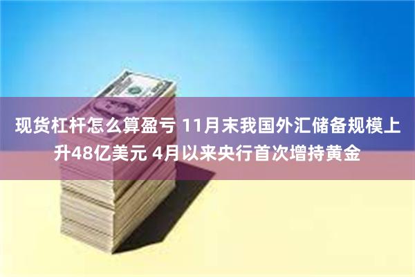 现货杠杆怎么算盈亏 11月末我国外汇储备规模上升48亿美元 4月以来央行首次增持黄金