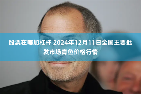 股票在哪加杠杆 2024年12月11日全国主要批发市场青鱼价格行情