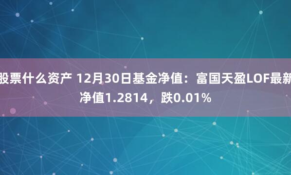 股票什么资产 12月30日基金净值：富国天盈LOF最新净值1.2814，跌0.01%