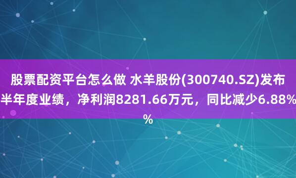 股票配资平台怎么做 水羊股份(300740.SZ)发布半年度业绩，净利润8281.66万元，同比减少6.88%