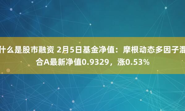 什么是股市融资 2月5日基金净值：摩根动态多因子混合A最新净值0.9329，涨0.53%