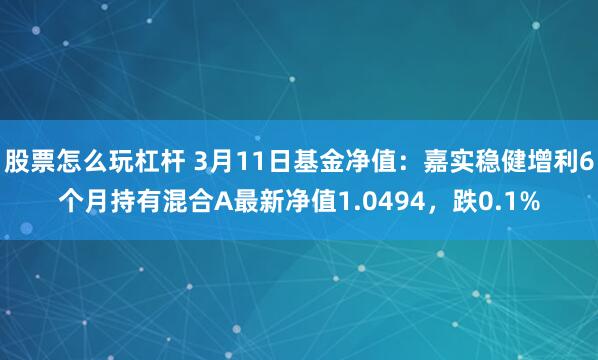 股票怎么玩杠杆 3月11日基金净值：嘉实稳健增利6个月持有混合A最新净值1.0494，跌0.1%